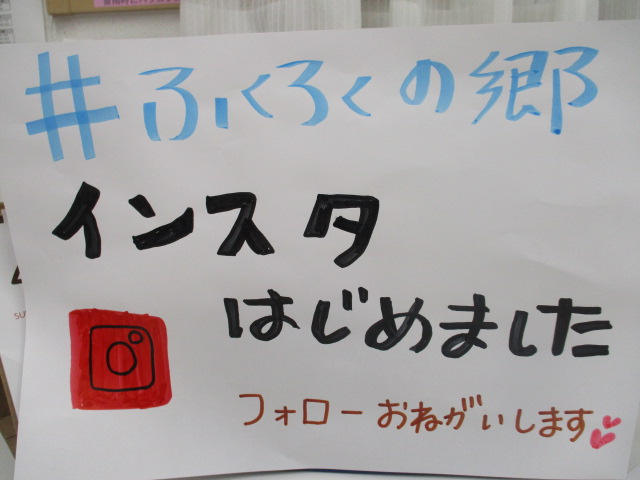 🌸インスタグラム始めました🌸