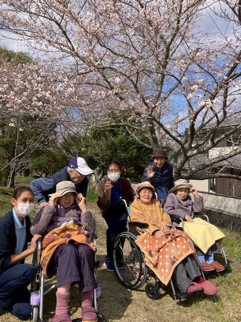 2025年４月４日　井沢の郷　勝手に桜🌸開花情報